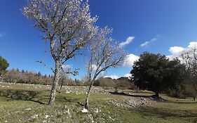 Casa Il Mandorlo Nel Chianti
